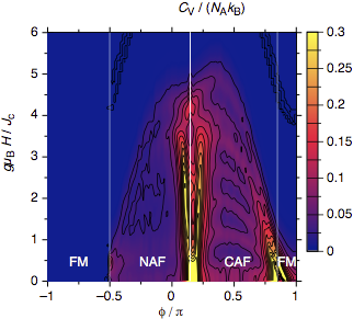 J1 J2 model heat capacity