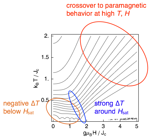 Magnetocaloric effect of a frustrated 
ferromagnet