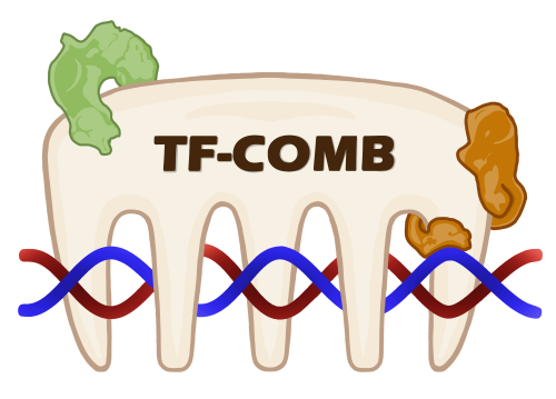 TF-COMB