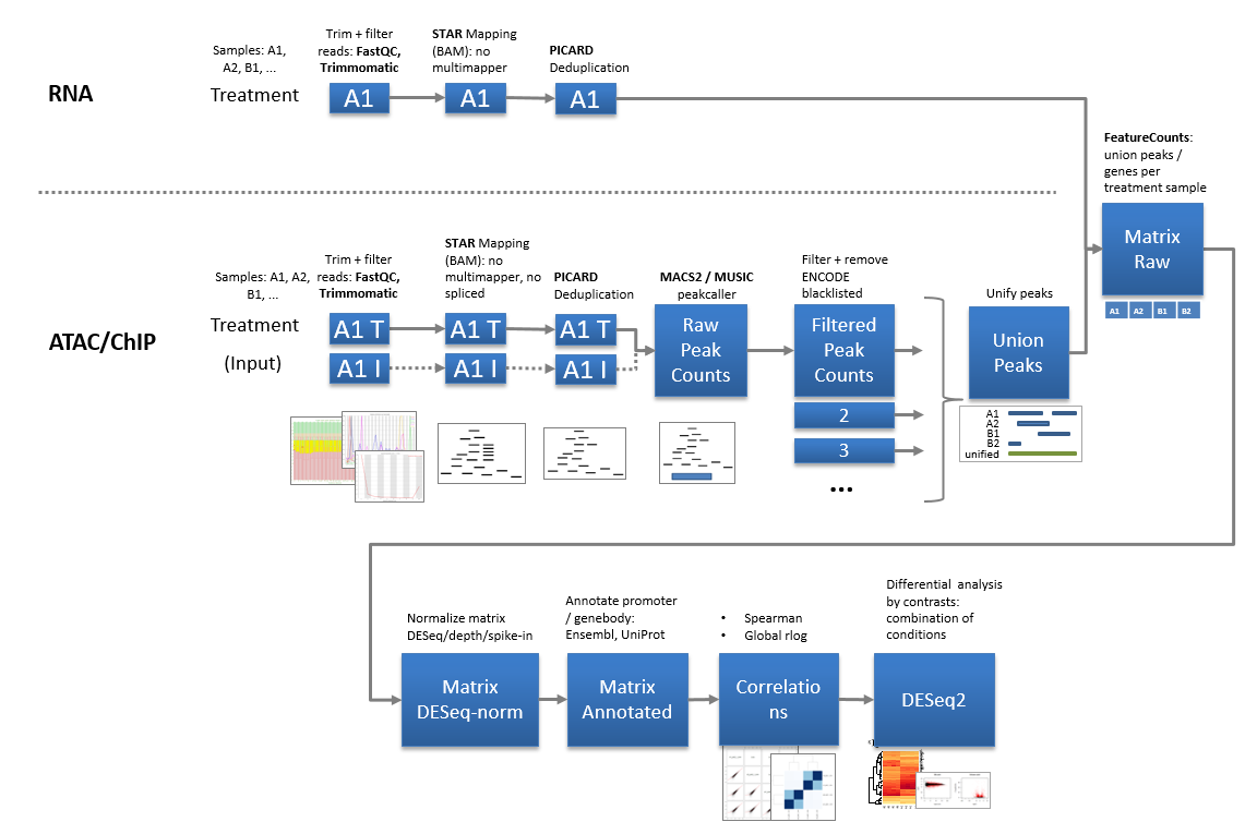 Bulk Pipelines